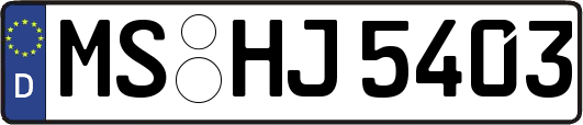 MS-HJ5403
