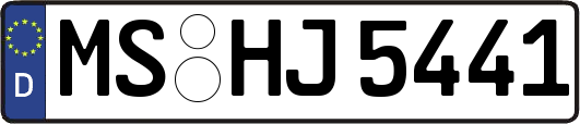 MS-HJ5441