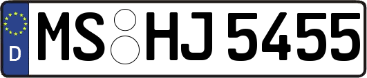MS-HJ5455