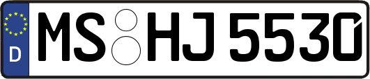 MS-HJ5530