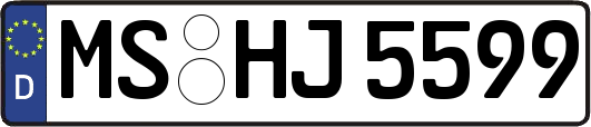 MS-HJ5599