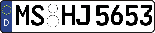 MS-HJ5653