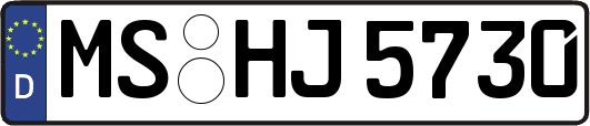 MS-HJ5730
