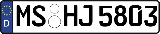 MS-HJ5803