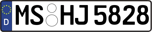 MS-HJ5828