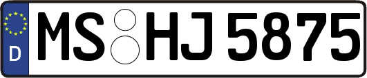 MS-HJ5875