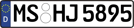MS-HJ5895