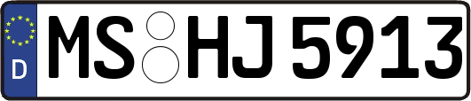 MS-HJ5913