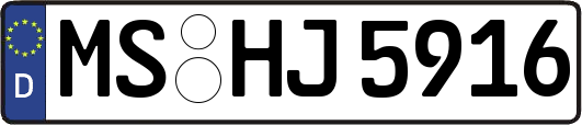 MS-HJ5916