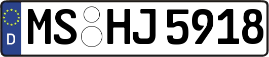 MS-HJ5918