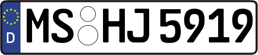 MS-HJ5919