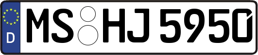 MS-HJ5950