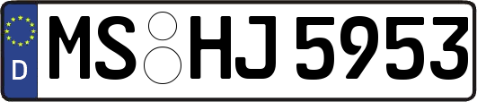 MS-HJ5953