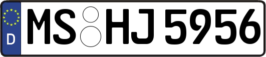 MS-HJ5956