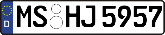 MS-HJ5957