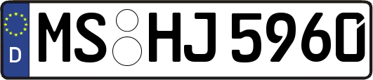 MS-HJ5960