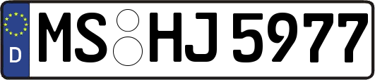 MS-HJ5977