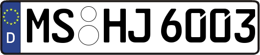 MS-HJ6003