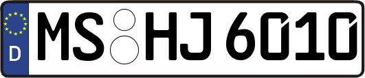 MS-HJ6010