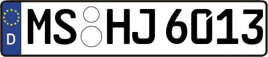 MS-HJ6013