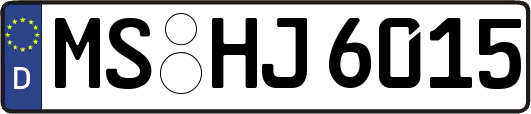 MS-HJ6015