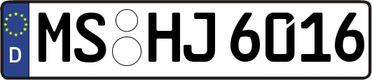 MS-HJ6016