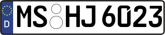 MS-HJ6023