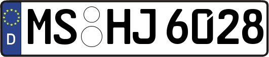 MS-HJ6028