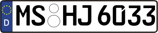 MS-HJ6033