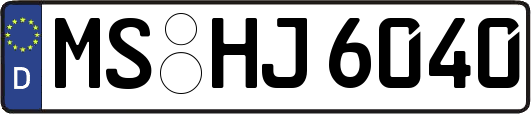 MS-HJ6040