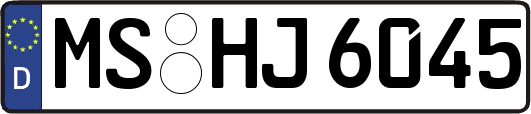 MS-HJ6045
