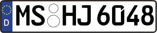 MS-HJ6048