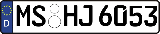 MS-HJ6053