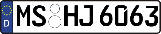 MS-HJ6063