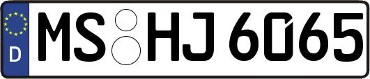 MS-HJ6065