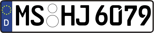 MS-HJ6079