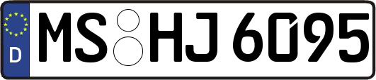 MS-HJ6095