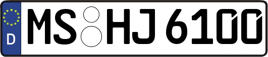 MS-HJ6100