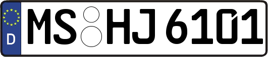 MS-HJ6101