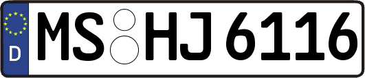 MS-HJ6116