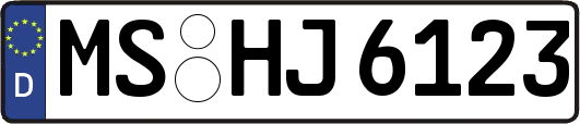MS-HJ6123