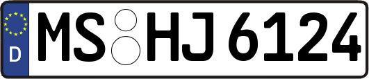 MS-HJ6124
