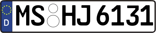 MS-HJ6131
