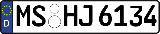 MS-HJ6134