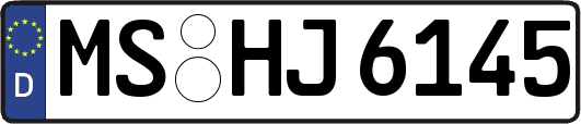 MS-HJ6145