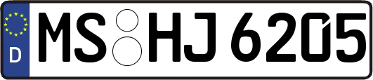 MS-HJ6205