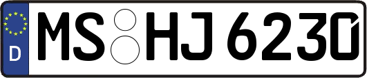 MS-HJ6230