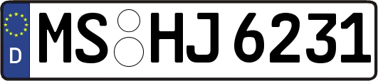 MS-HJ6231