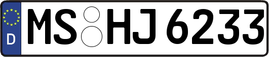 MS-HJ6233