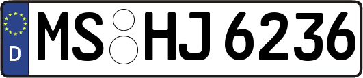 MS-HJ6236